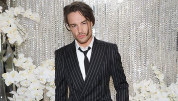 Liam Payne Reveals He Checked Into Facility for 100 Days Following Backlash After One Direction Comments